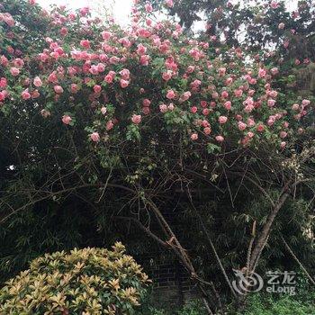 丽江雨花石客栈酒店提供图片