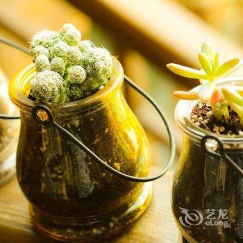 拾叁月·丽江花园度假庭院酒店提供图片