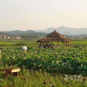 普者黑云上彝居客栈酒店提供图片