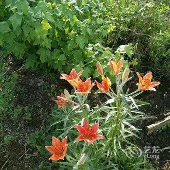 额尔古纳金道宾馆酒店提供图片