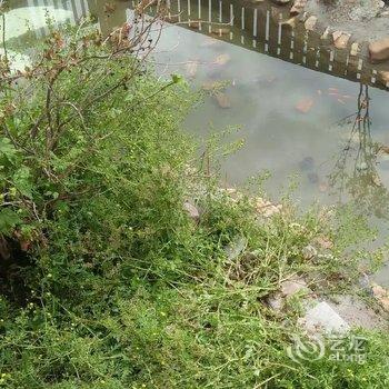额尔古纳金道宾馆酒店提供图片
