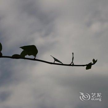 丽江逸景湾精品客栈酒店提供图片