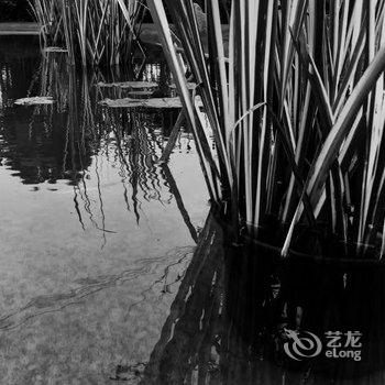 馨庐精品民宿(上海国际旅游度假区店)酒店提供图片