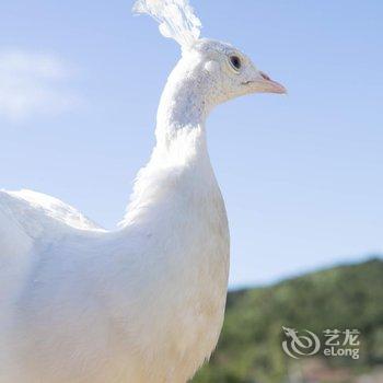 原乡里北京水泉乡宿酒店提供图片