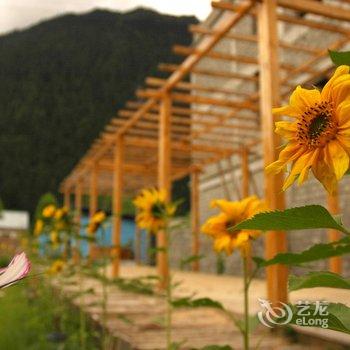 波密十间房花园民宿酒店提供图片