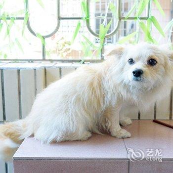 广州音乐家之家家家普通公寓酒店提供图片