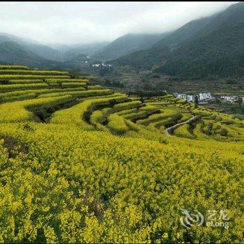 婺源江岭花园小筑酒店提供图片