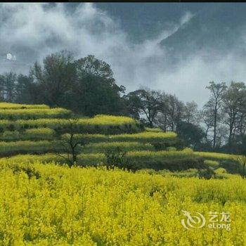 婺源江岭花园小筑酒店提供图片