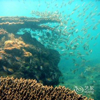 北海涠洲岛看海的日子客栈酒店提供图片