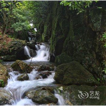 安吉无尘·茗宿酒店提供图片