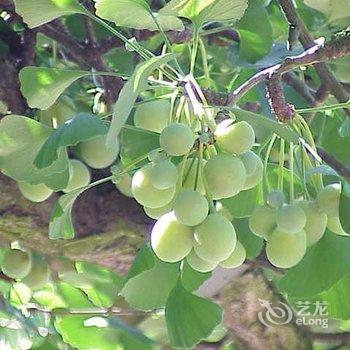 湘乡大湖宾馆酒店提供图片