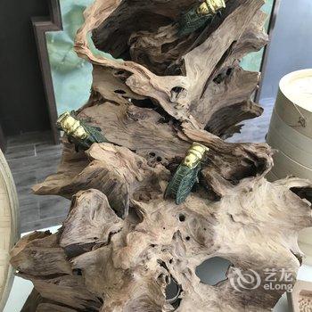 广东珠光御景温泉酒店酒店提供图片