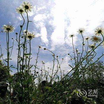 洪雅花溪民宿酒店提供图片