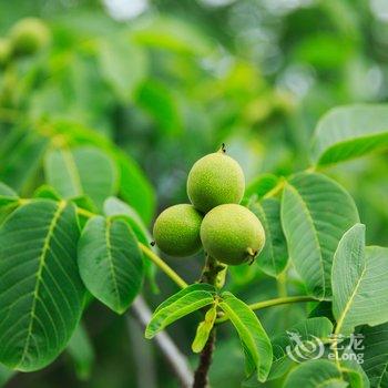 茂县金天地家园乡村酒店酒店提供图片