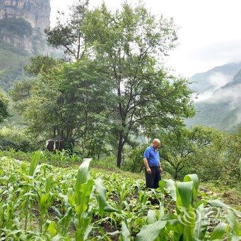 屏南山里瀑下酒店提供图片