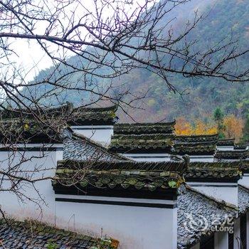 临安神龙川度假村酒店提供图片