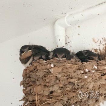 重庆耿蕊农家乐酒店提供图片