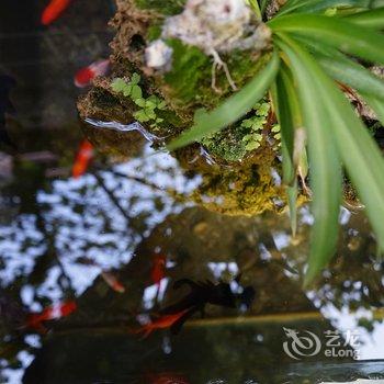 阆中春江客栈酒店提供图片