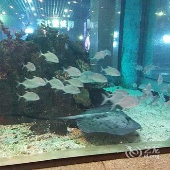 重庆解放碑时代青年旅社酒店提供图片