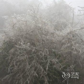 南岳半山农家乐酒店提供图片