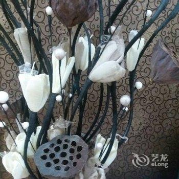 成都成都春熙路曹家巷恒大雅苑温馨浪漫两居室电梯公普通公寓(大业路店)酒店提供图片