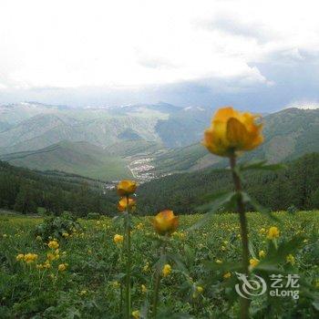 喀纳斯百合山庄酒店提供图片