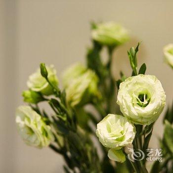 广州北京路中心3地铁最有人情味的家普通公寓酒店提供图片