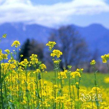 千岛湖君顺休闲农庄酒店提供图片