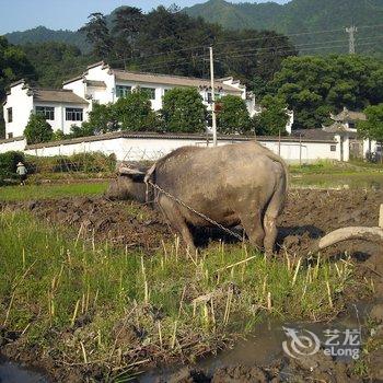 婺源汪老师璐璐住宿楼酒店提供图片