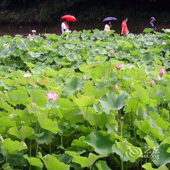 婺源汪老师璐璐住宿楼酒店提供图片