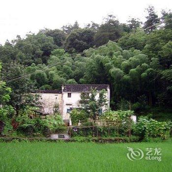 婺源汪老师璐璐住宿楼酒店提供图片