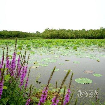 上海海湾房车露营地酒店提供图片