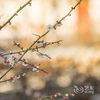 腾冲宝山和顺山房酒店酒店提供图片