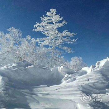 亚布力雪龙度假山庄酒店提供图片