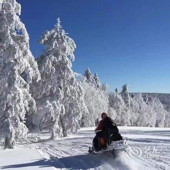 亚布力雪龙度假山庄酒店提供图片