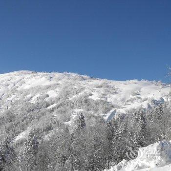 亚布力雪龙度假山庄酒店提供图片