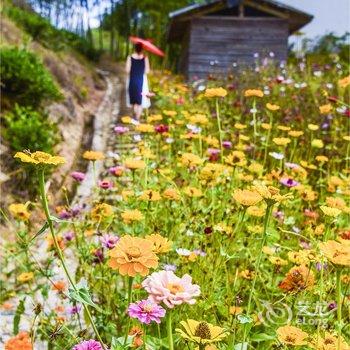 南靖静心山居度假山庄酒店提供图片