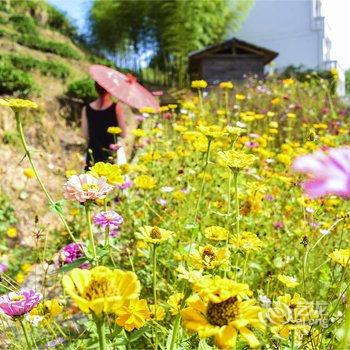 南靖静心山居度假山庄酒店提供图片