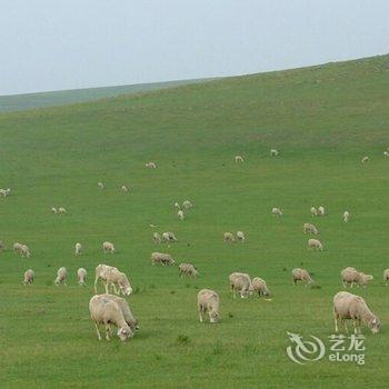 鄂尔多斯杭锦旗独贵塔拉镇恒盛兴沙漠酒店酒店提供图片