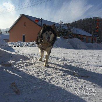 雪乡二浪河英子家庭旅馆酒店提供图片