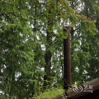 上海Belink阳光之家复式酒店提供图片