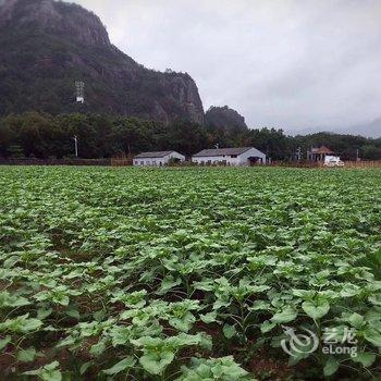 温州花田民宿酒店提供图片