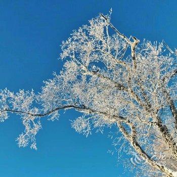 雪乡缘度假酒店酒店提供图片