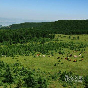 宁武县看远山青年驿站酒店提供图片