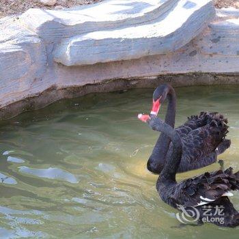 厦门灵玲大酒店酒店提供图片