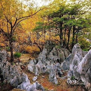 36都主题酒店(千岛湖坪山一都店)酒店提供图片