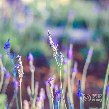 泸沽湖听花堂海景花园客栈(原大嘴窝窝客栈)酒店提供图片