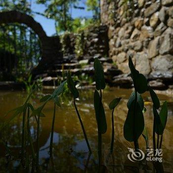 大理也去瓦舍音乐客栈(原也去客栈)酒店提供图片