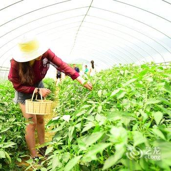 莫干山裸心谷酒店提供图片