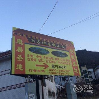 石棉栗子坪度假山庄酒店提供图片